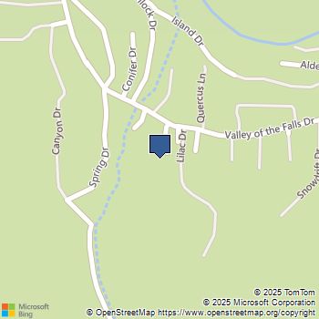 9428 Lilac Drive Forest Falls, CA MLS# IG25243587