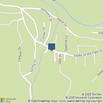 41267 Valley Of The Falls Drive Forest Falls, CA MLS# IG25261254