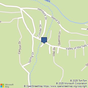 9387 Mill Drive Forest Falls, CA MLS# IV24252875