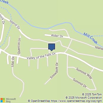 41424 Valley of the Falls Drive Forest Falls, CA MLS# SW25207957