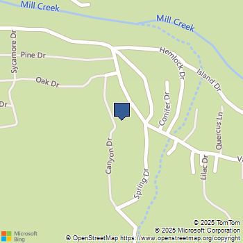 9361 Canyon Drive Forest Falls, CA MLS# IG25248891