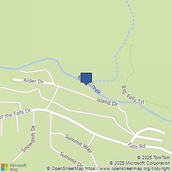 41560 Alder Drive Forest Falls, CA MLS# IG25118612