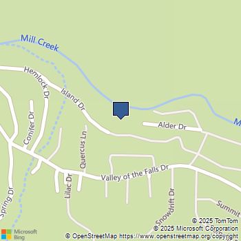 41385 Alder Drive Forest Falls, CA MLS# IG25195943