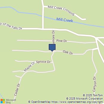 0 Cedar Forest Falls, CA MLS# IG25157154