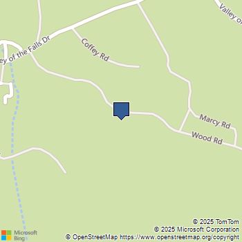 9226 Wood Road Forest Falls, CA MLS# IG25196442