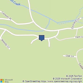 39627 Prospect Drive Forest Falls, CA MLS# IG25152535