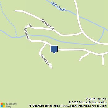 39505 Canyon Drive Forest Falls, CA MLS# IG25195258