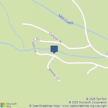 39480 Prospect Drive Forest Falls, CA MLS# PW25057094