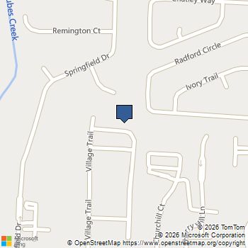 413 Village View Woodstock, GA MLS# 10671456