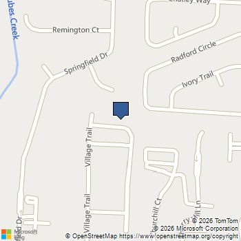 413 Village View Woodstock, GA MLS# 10671456