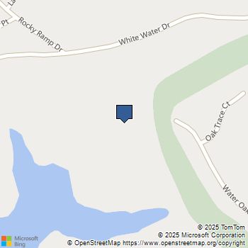 1009 Refuge Place Lot 21 Chapin, SC MLS# 622255