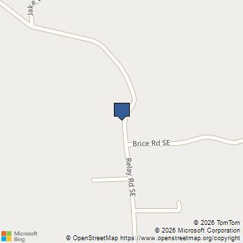 321 Relay Road Silver Creek, GA MLS# 10811957