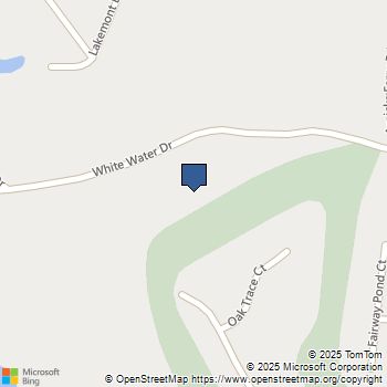 537 Misty Banks Drive Chapin, SC MLS# 621232