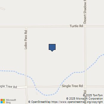 8520 Purple Sage Road Joshua Tree, CA MLS# 219137613DA