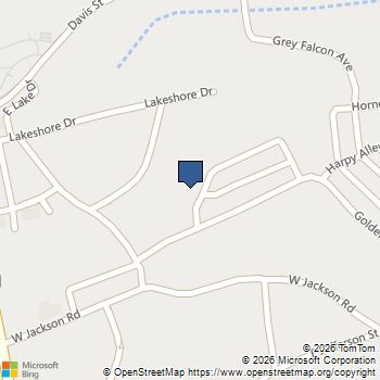 37 Osprey Overlook Drive Braselton, GA MLS# 7737412