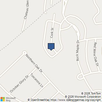 2674 Cork Street Braselton, GA MLS# 10815656