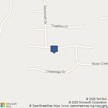 313 Chattahoochee Way Woodstock, GA MLS# 10658501