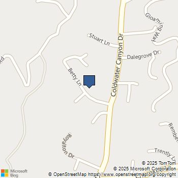 2250 Betty Lane Beverly Hills, CA MLS# 25577717