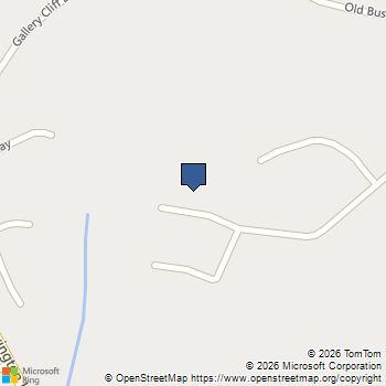 358 Chapin Place Way Chapin, SC MLS# 624160