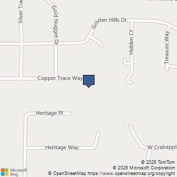 700 Copper Trace Way Woodstock, GA MLS# 7699188