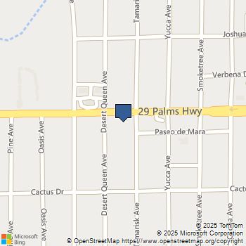 73489 29 Palms 29 Palms, CA MLS# JT25087511