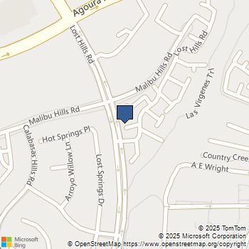 4220 Lost Hills 802 Calabasas, CA MLS# 225005941