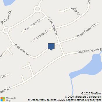 1070 Palamino Lane Elgin, SC MLS# 634136
