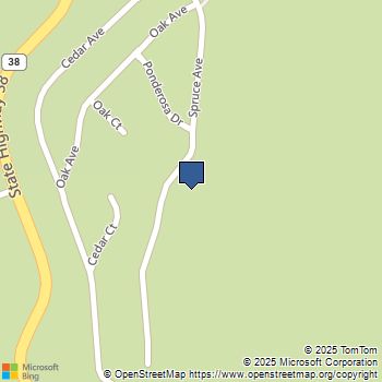 6287 Spruce Avenue Angelus Oaks, CA MLS# 25550159