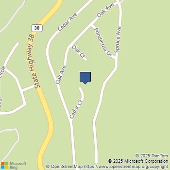 6307 Cedar Court Angelus Oaks, CA MLS# 25570419PS