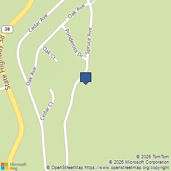 6287 Spruce Avenue Angelus Oaks, CA MLS# 0026869861