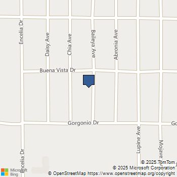 6248 Baileya Avenue 29 Palms, CA MLS# JT24191262