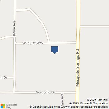 6181311 Mesquite Springs Road 29 Palms, CA MLS# IG25122034