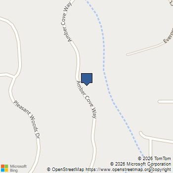 5411 Amber Cove Way Flowery Branch, GA MLS# 10679945