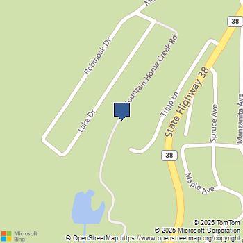 6011 Mountain Home Creek Road Angelus Oaks, CA MLS# 25544849PS