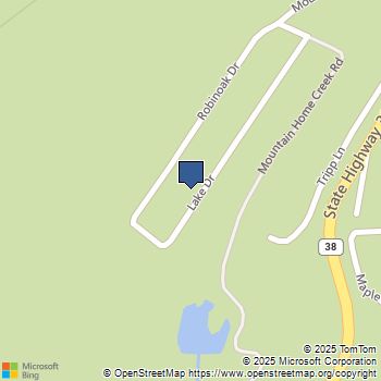 6020 Lake Drive Angelus Oaks, CA MLS# IG25168775