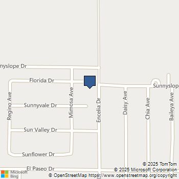 71665 Florida Court 29 Palms, CA MLS# TR25032237