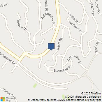 4254 N Canoga Avenue Woodland Hills, CA MLS# SR25237320