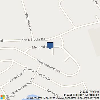 331 Merigold Way Pendergrass, GA MLS# 10795756