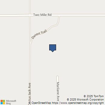 100 Cactus Jack Avenue 29 Palms, CA MLS# JT25224781