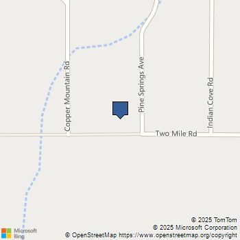 2 Mile Rd Road 29 Palms, CA MLS# 225002524