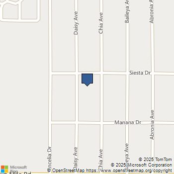 1234 Daisy Avenue 29 Palms, CA MLS# JT25216380