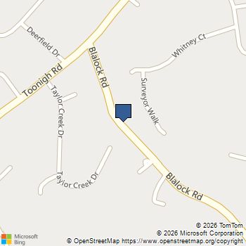 216 Black Walnut Way Canton, GA MLS# 10710355