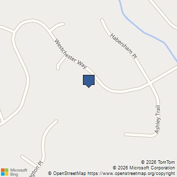 390 Westchester Way Canton, GA MLS# 7775713
