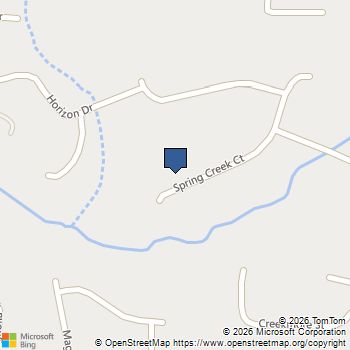 114 Spring Creek Court Canton, GA MLS# 10755803