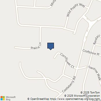 7390 Cornflower Court Cumming, GA MLS# 10598228