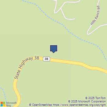 41 Stetson Creek Angelus Oaks, CA MLS# IG25075262