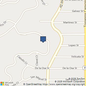 5099 Llano Drive Woodland Hills, CA MLS# SR25103066