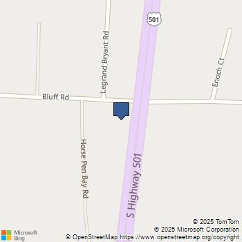 3215 Bluff Rd. Marion, SC MLS# 2300536