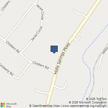 3132 Holly Springs Parkway Canton, GA MLS# 10458112