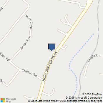 3060 Holly Springs Parkway Canton, GA MLS# 10816813
